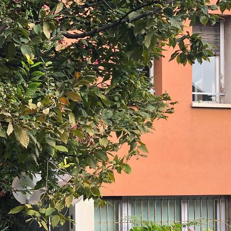 Brera Cocoon Lejlighed Milano Eksteriør billede